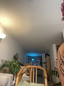 6nalanie webcam