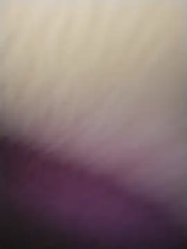 TinnyAircraft8270 webcam stripchat model stream image