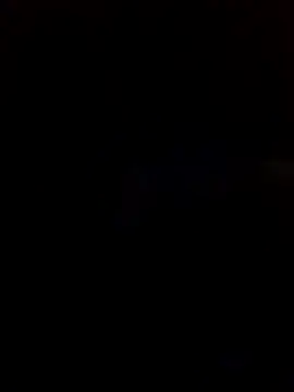 prickypvee webcam