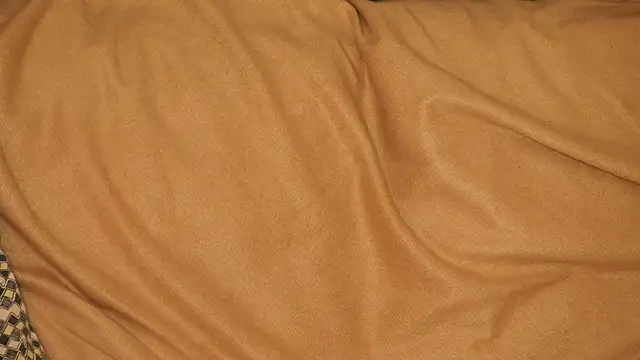 Lily_Spark_ webcam