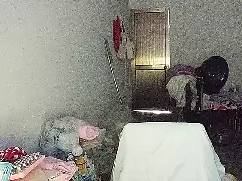 RebelAura webcam