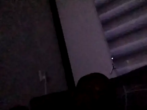 Home101z webcam