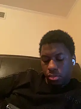 ThickDic28 webcam