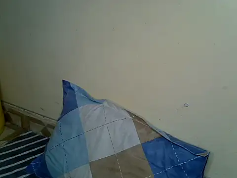 Assinata webcam