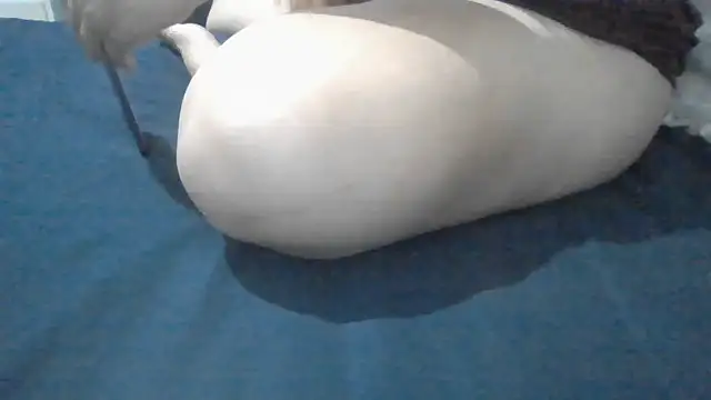 NandaVaz webcam