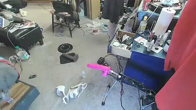 sissytrapdolly24 webcam