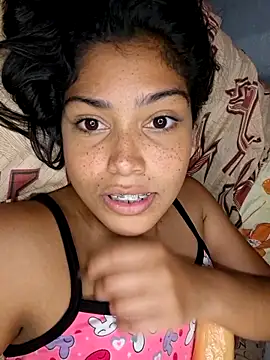 Putaalexa webcam