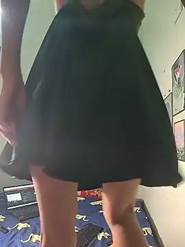 Pu688 webcam