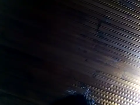 dulcefox webcam