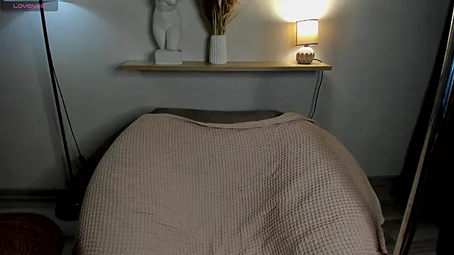 VeloraLuxe webcam