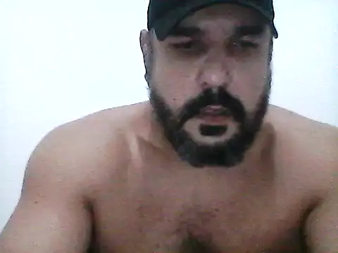 stallony webcam