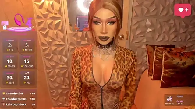 anitacruise webcam