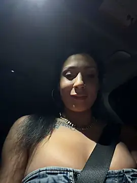 FerrariFrench webcam