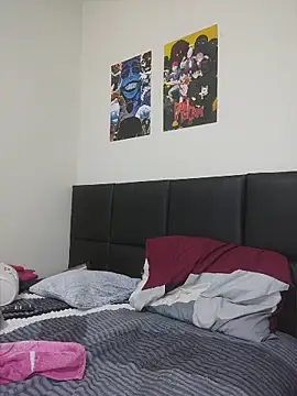 Aranzatits webcam