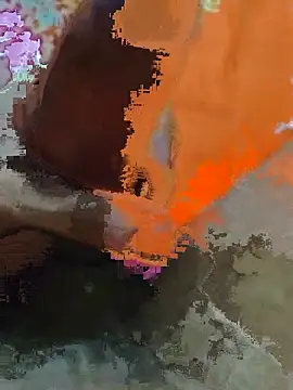 EddiedLawn webcam