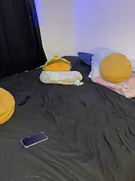 Shurabig webcam
