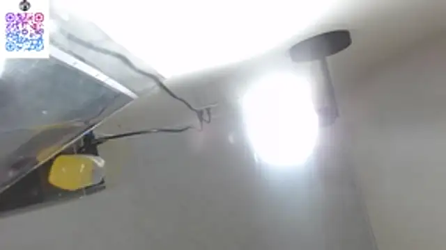 Kitty_Mifl webcam