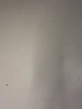 AndresXXXSHOWS webcam