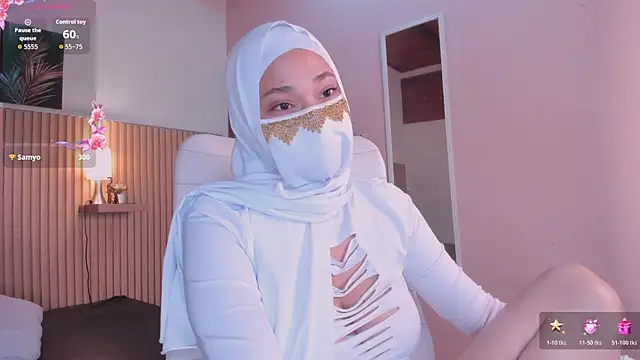 LittleNoor webcam