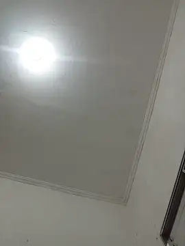 NovinhoSafado18 webcam