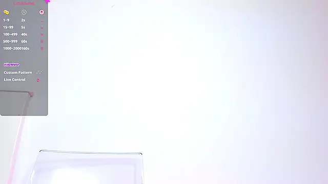 Aidasina webcam