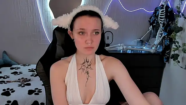 Elastikisss webcam