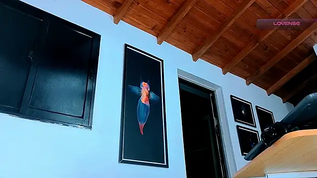 SilvaBranko webcam