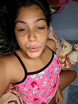 Putaalexa webcam