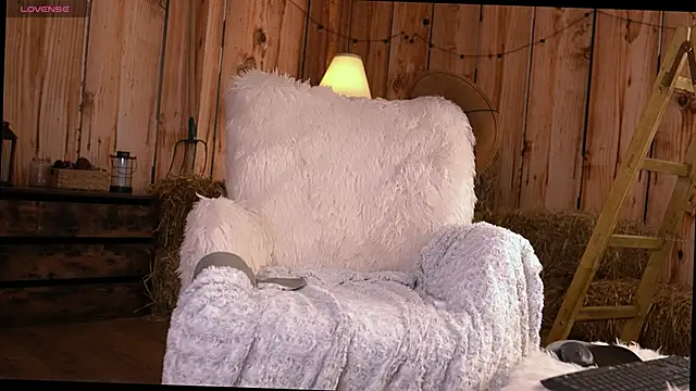MiraSmile webcam