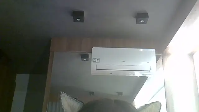SkinnyKitten live cam