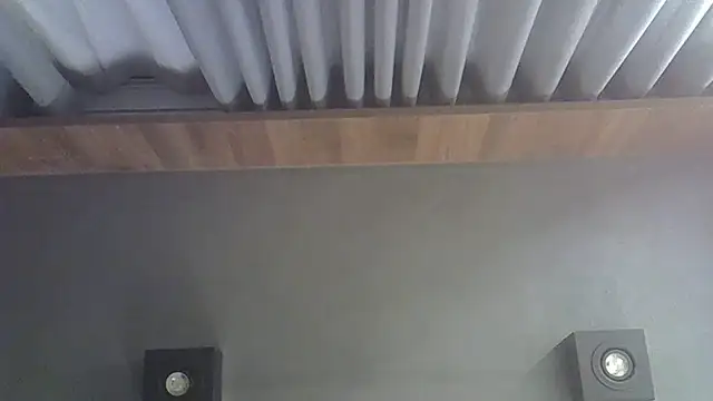 SkinnyKitten webcam