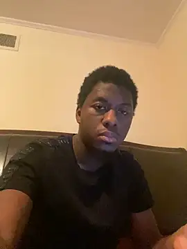 ThickDic28 webcam