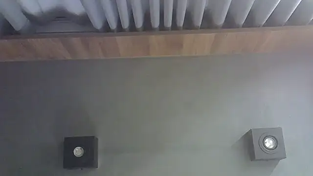 SkinnyKitten webcam