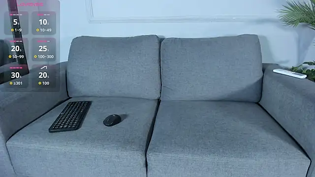 Nalapalmer webcam