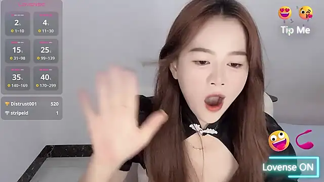 Amireux-8 webcam