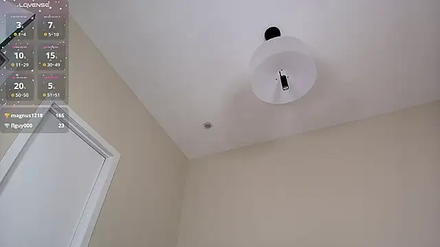 simonaaim webcam