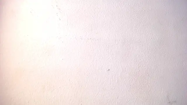Modèle: Lord_Tayron