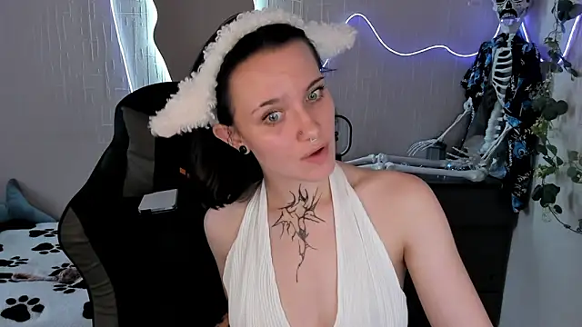 Elastikisss webcam