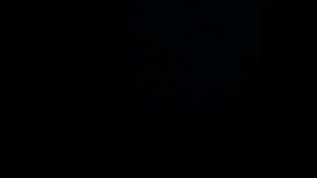 VincentSavage webcam