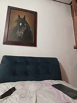 IsisBlake webcam