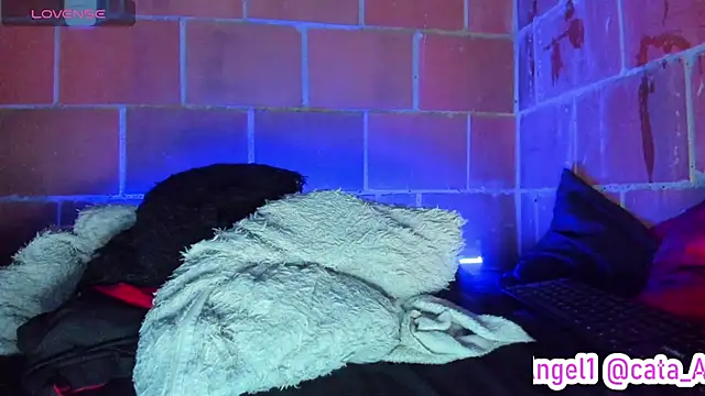 Cata-angel webcam
