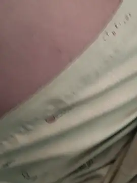 RAYI_Queen_4 webcam