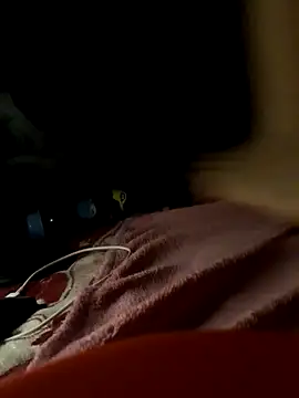 -Tara-a webcam