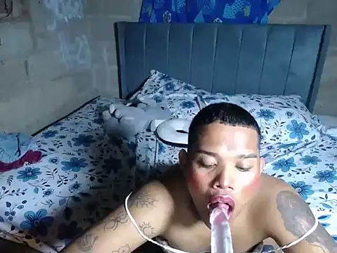 BlakeLuxs webcam