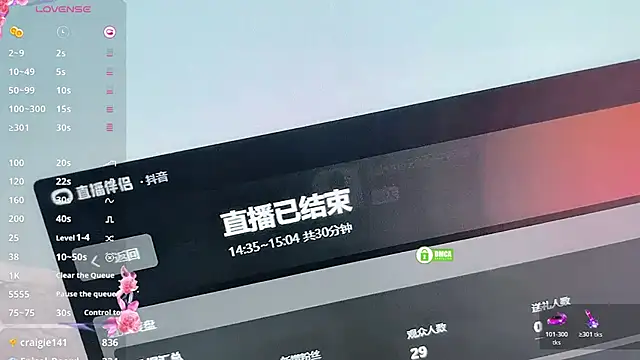 Kaixin520 webcam