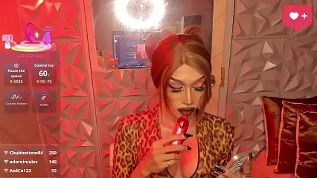 anitacruise webcam