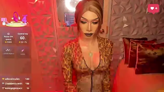 anitacruise webcam