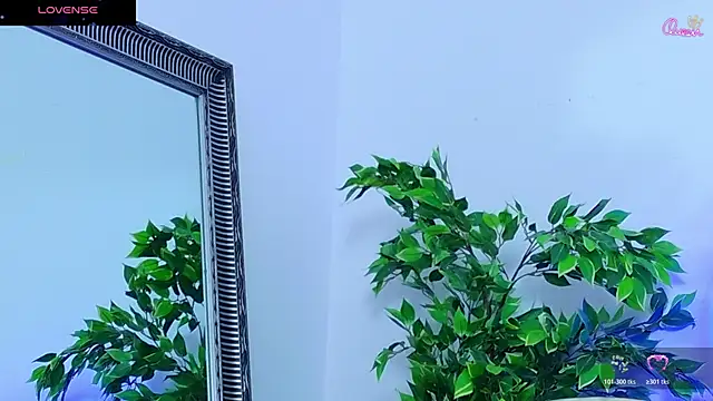 Daliya_ webcam