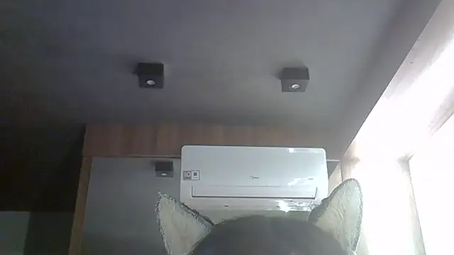 skinnykitten - SkinnyKitten's free webcam - UK Sex Cams