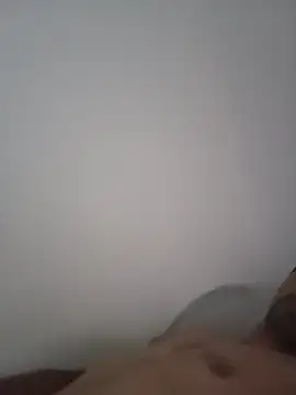 Ths005 webcam